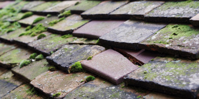 Fen Ditton roof repair costs